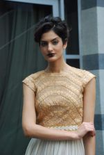 at Day 5 of lakme fashion week 2012 in Grand Hyatt, Mumbai on 6th March 2012 (15).JPG